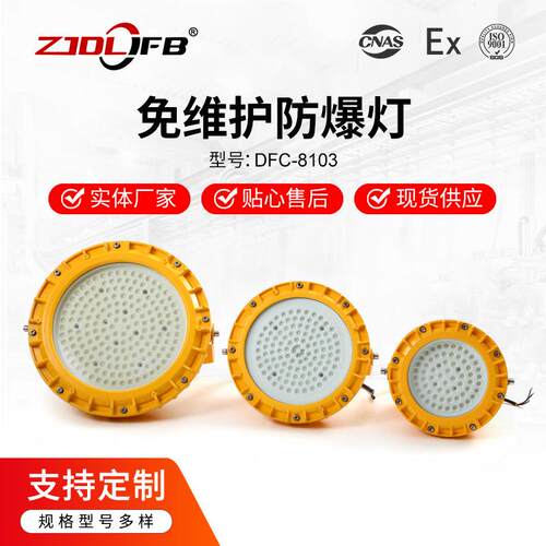 led隔爆型防水防尘防腐0W40W50W60W防爆led平台灯护栏法兰弯杆灯