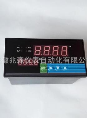 数显转速表智能数显表智能转速表XMTA-100XMA-100