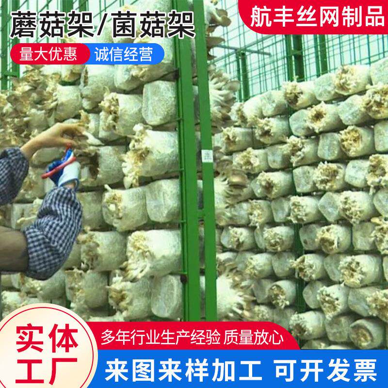 大棚养殖蘑菇架工厂化出菇房养菌架绿色铁丝养殖网架蘑菇架培养架