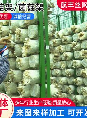 大棚养殖蘑菇架工厂化出菇房养菌架绿色铁丝养殖网架蘑菇架培养架