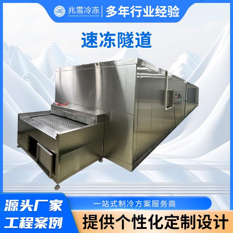 厂家供全自动速冻隧道速冻机海产品连续式速冻设备汤圆冷冻流水线