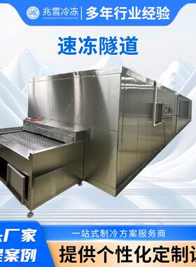 厂家供全自动速冻隧道速冻机海产品连续式速冻设备汤圆冷冻流水线