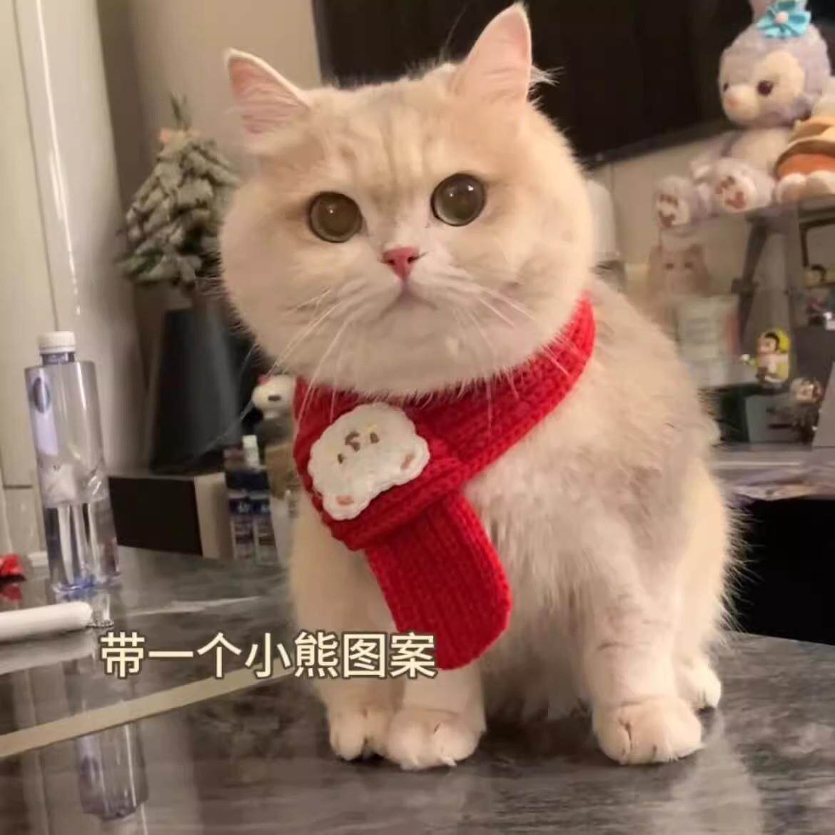 猫咪围脖围巾秋冬季狗狗口水巾新年红色小围巾可爱佩戴编织装饰品