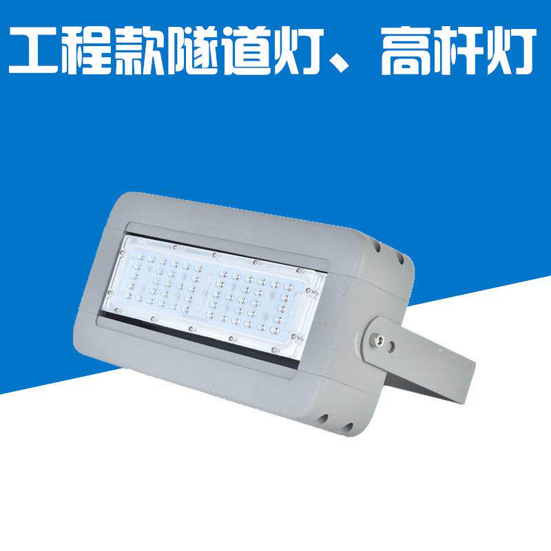 户外灯投光灯50W 隧道灯灯具 铝型材模组泛光灯投射灯 厂家直销