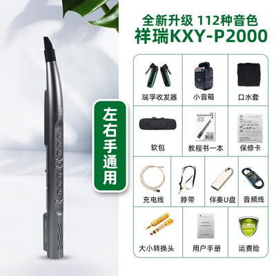 正品卡西雅r2021新电吹管KXY2-P2000/P000po款电子吹管乐器国产数