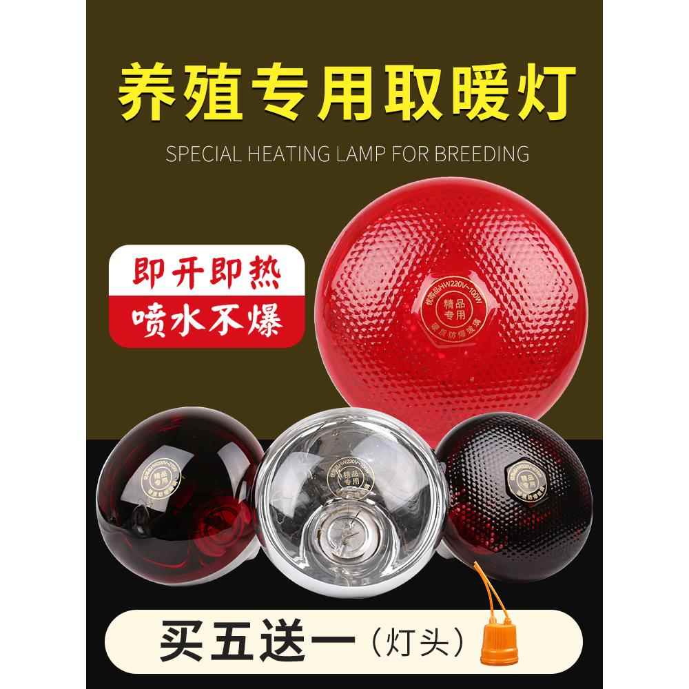 保温灯养殖场专用红外线仔猪小鸡养殖取暖保暖加热灯泡兽用烤灯泡