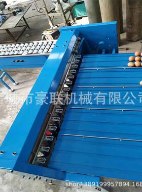 高效鸡蛋鸭蛋分级机/鸡蛋分选分拣机/自动选蛋机 产量5400枚/小时