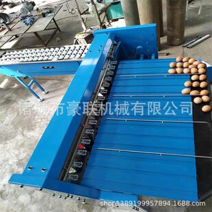 产量5400枚 自动选蛋机 小时 鸡蛋分选分拣机 高效鸡蛋鸭蛋分级机