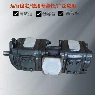 现货HYTE海特克双联液压油泵HG10-40-20-01R-VPC内啮合齿轮泵