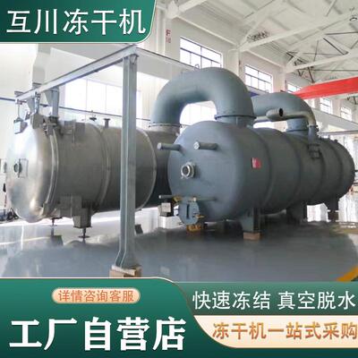 冻干机设备厂家自动50平方鲜花蔬菜真空冻干机玫瑰花FD冻干机