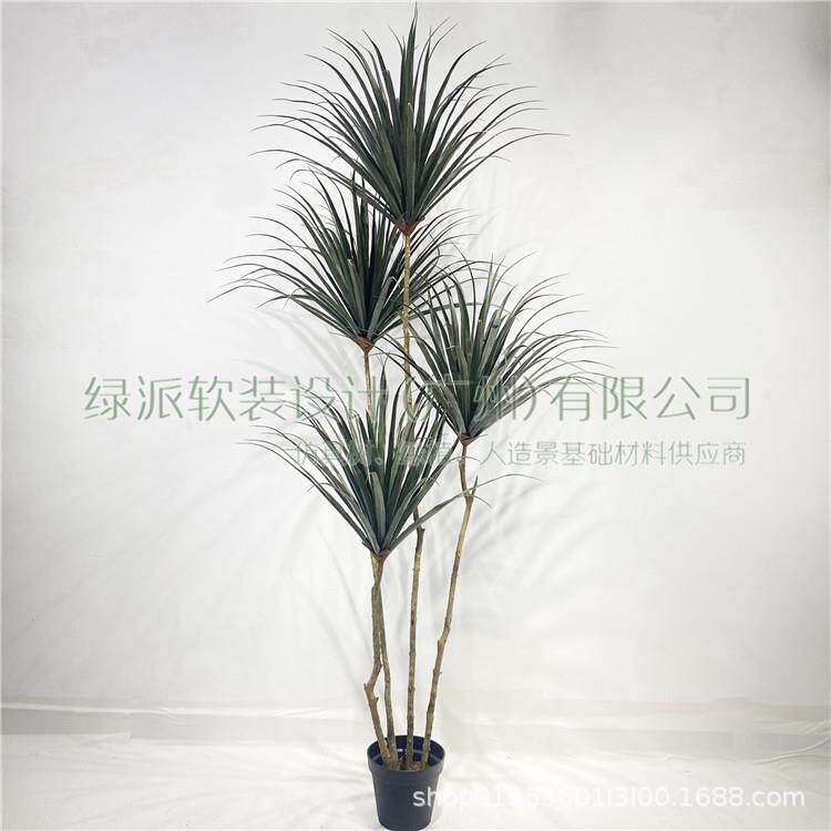 丝兰树千年木绿植盆栽民宿酒店中式植物园林创意仿真龙须铁盆栽