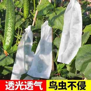 絲瓜套袋瓜果防蟲袋保護袋專用套瓜袋苦瓜水果黃瓜防蟲網袋子蔬菜