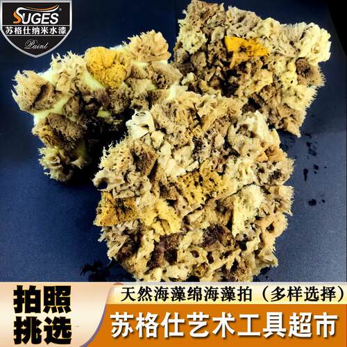 圆形天然海藻拍三色珠光艺术漆点拍工具刷金箔银箔涂刷海藻绵工具