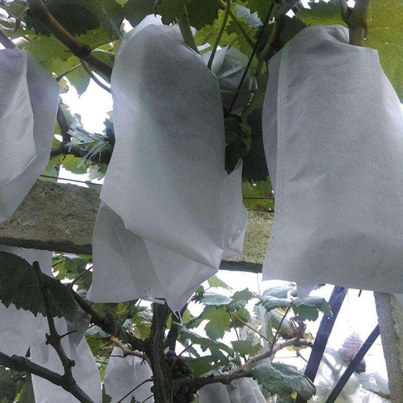 无纺布水果水果葡萄防虫防水果袋