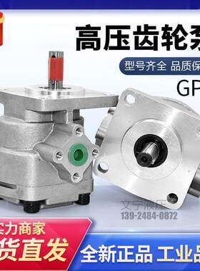 新款小型油泵高压齿轮泵GPY-8R9R10R11.5R低噪音液压齿轮泵