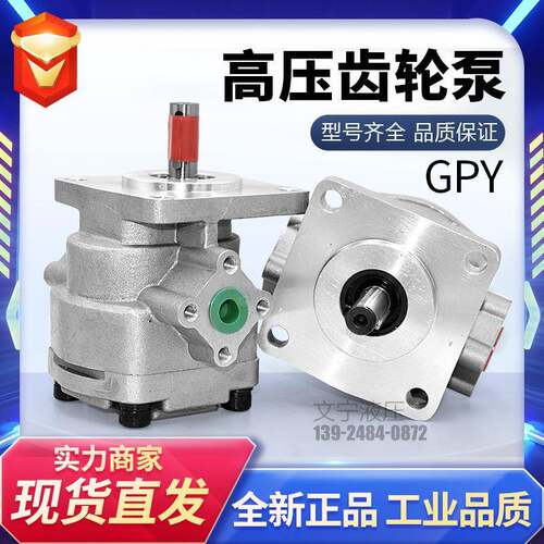 新款小型油泵高压齿轮泵GPY-8R9R10R11.5R低噪音液压齿轮泵