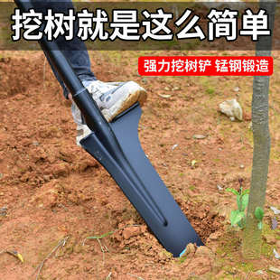 挖树铲锰钢加厚全钢钢锹挖树专用锹农用开沟挖土挖坑铁锹铁铲大号