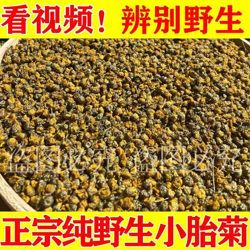 非人工小胎菊干燥花清热花茶深山零星采摘自然晾晒足干特级菊花茶