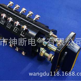 LW2D Z1A.4.6A.40.4 转换开关 温州长江开关厂