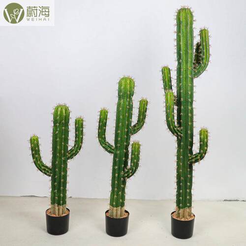 仿真仙人柱仙人掌八棱柱室内橱窗装饰摆件绿植植物北欧家居装饰