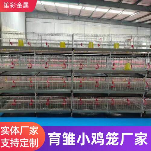 养殖小鸡笼设备立式小鸡笼养殖场鸡舍养鸡繁殖育雏多层叠式小鸡笼