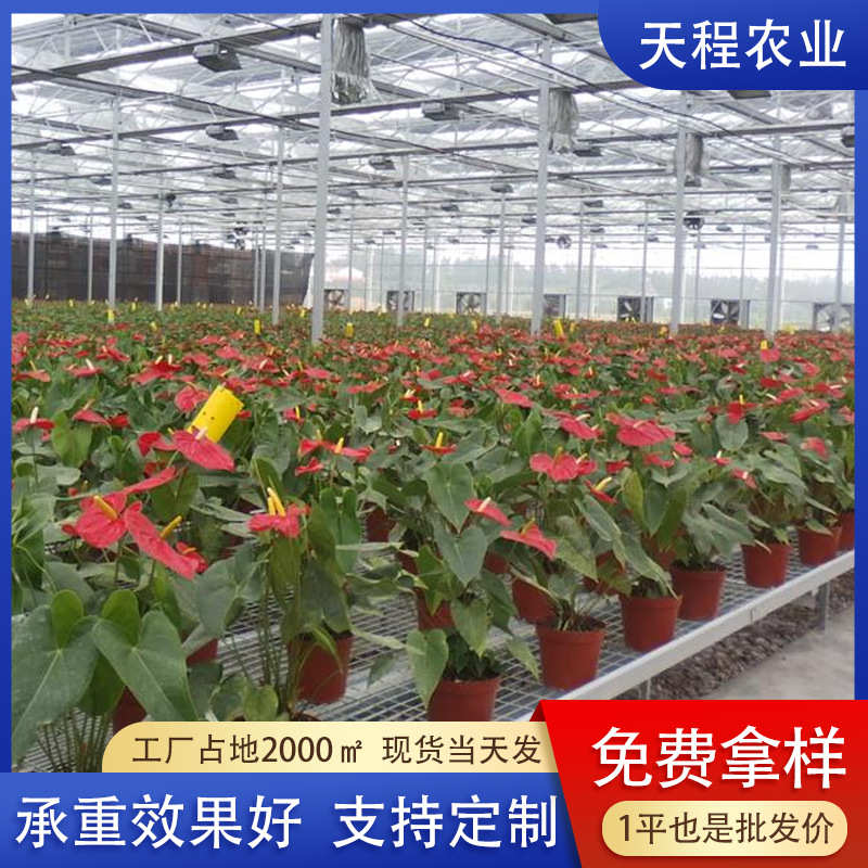 定制暖棚花卉蔬菜固定育苗床热镀锌农业塑料种植大棚栽培苗床配件