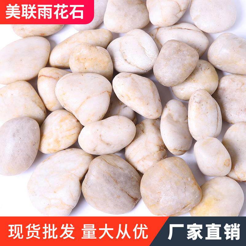 白色鹅卵石园林铺路鱼缸造景白色雨花石头水池垫底园艺盆栽石块