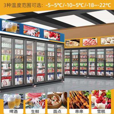 华冷785冻展示柜肉低温速类冻柜立式冰柜商用超市箱保鲜冷尔冰冻