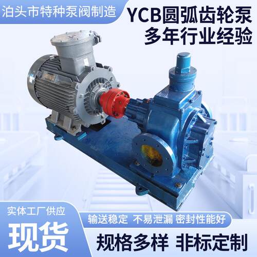 YCB圆弧齿轮油泵ycb齿轮泵耐高温油泵铸铁耐磨电动抽油泵现货