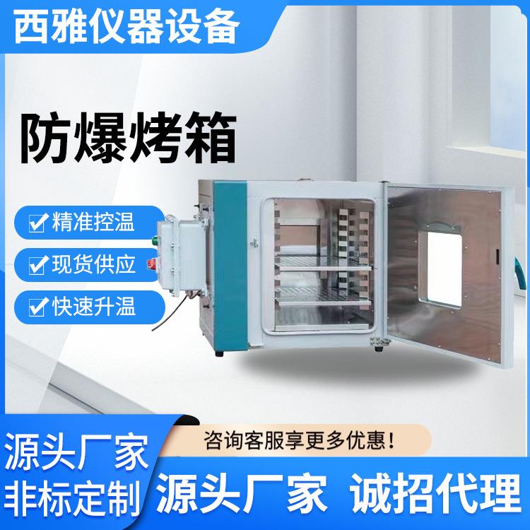 厂家供应工业用高温防爆烤箱 高温防爆工业烤箱