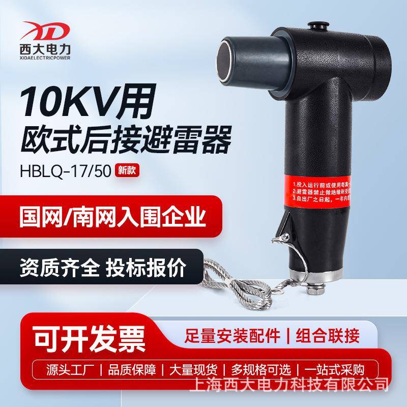 西大电力10KV欧式后接避雷器HBLQ-17/50分接箱环网柜T型避雷器