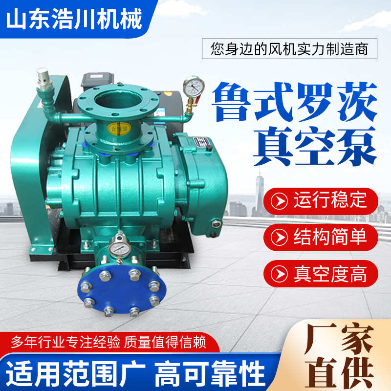 罗茨真空泵真空负压系统真空泵厂家现货鲁式罗茨真空泵
