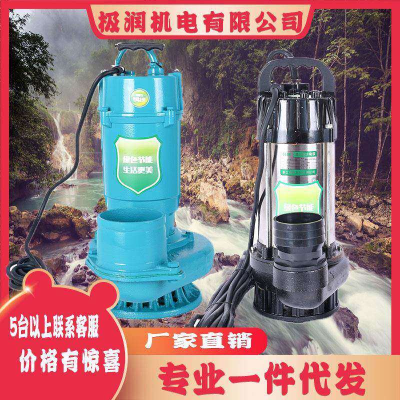 48V60V72V无刷直流潜水泵大流量电车抽水机小型充电浇菜抽水泵