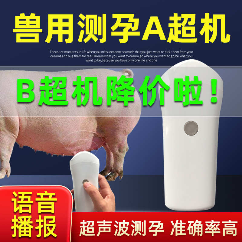 兽用A超机语音B超母猪测孕仪器猪比超机超声波怀孕彩超检孕养殖
