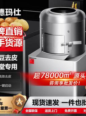 德玛仕全自动土豆去皮机商用马铃薯磨皮机地瓜生姜剥皮机哇噢