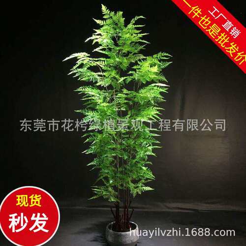 手感软胶波斯草波斯叶 把束墙配材厂家仿真手感绿植 仿真蕨类植物