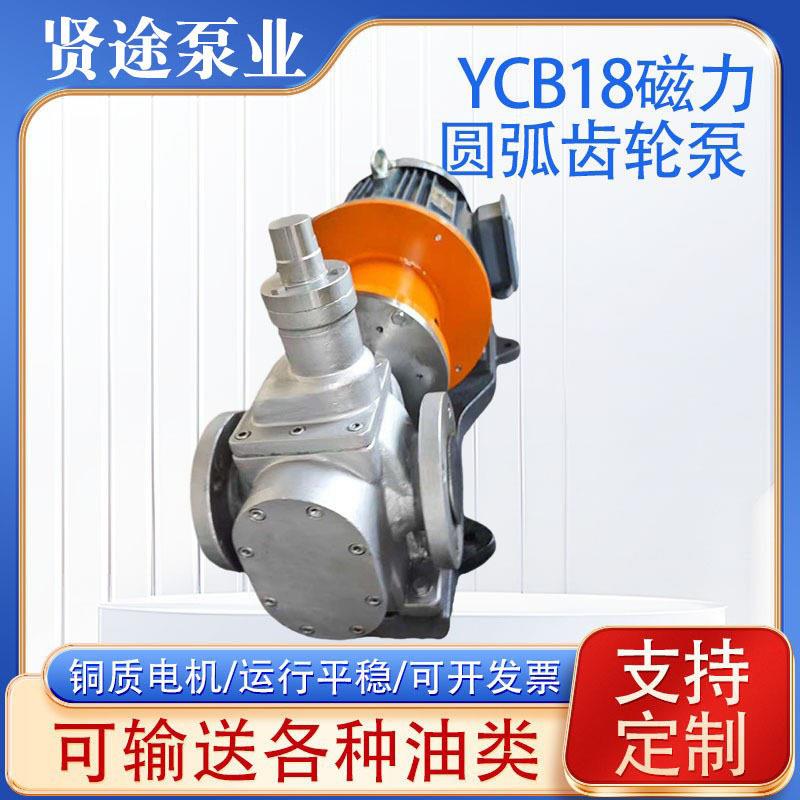 YCB18不锈钢磁力圆弧齿轮泵汽柴油抽油泵润滑油食用油泵电动抽油