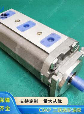 CBKP100/80/32BF，CBKP100/CBKP100/80/P40-B齿FP三-联轮油泵