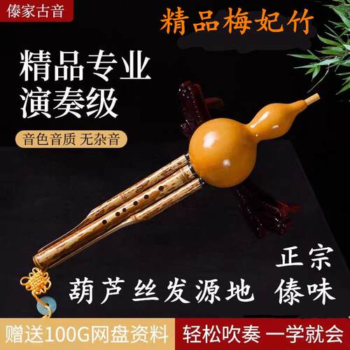 正品云南家成古音傣味梅妃竹DC傣降bAGF调专葫芦丝人业录音演奏型