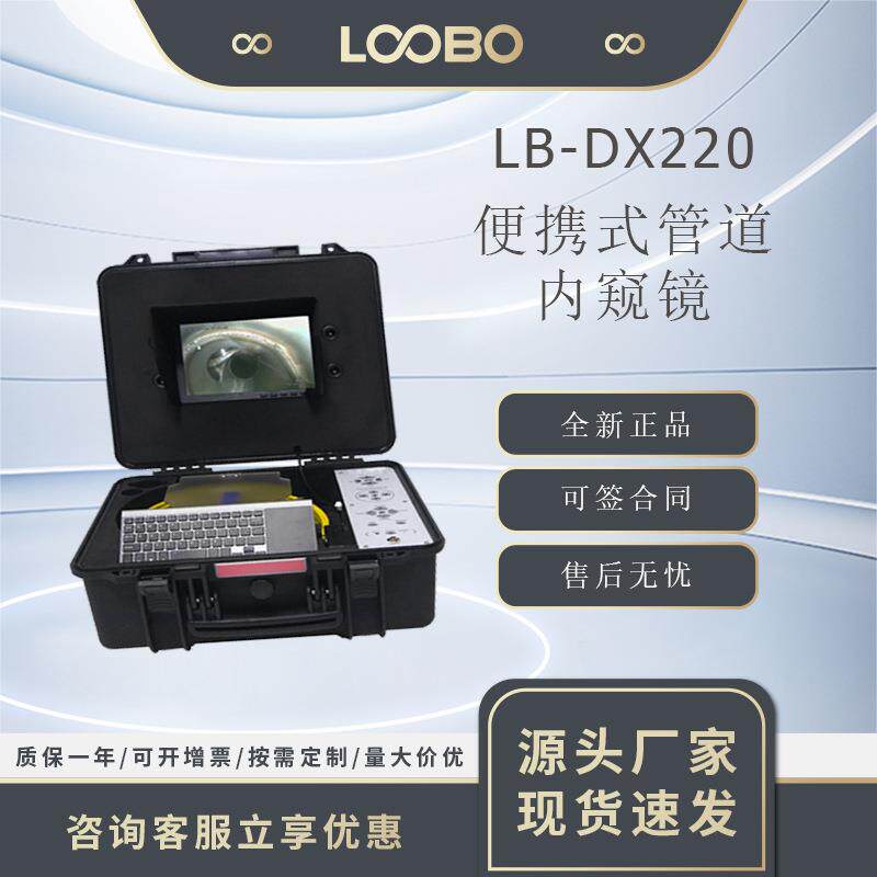 便携式工业管道内窥镜高清管道容器内部视频检测设备LB-DX220
