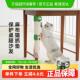 zeze剑麻猫抓垫桌腿保护猫抓板耐抓不掉屑保护家俱防猫抓剑麻垫子