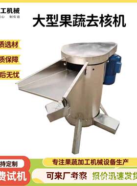 鲜酸枣大型去核设备 不锈钢核果脱核机 橄榄荔枝山楂破碎打浆去核