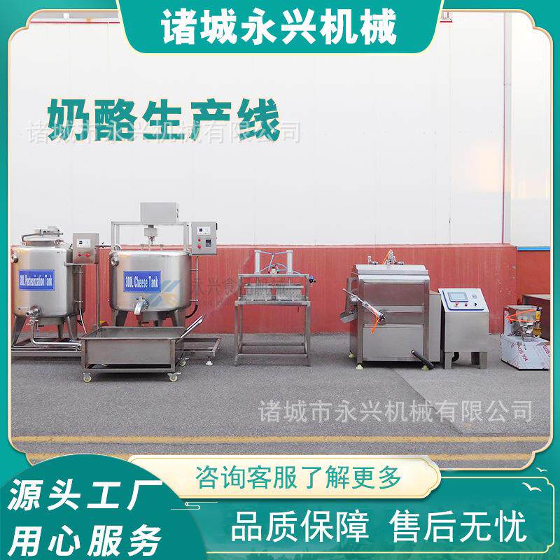 马苏里拉鲜奶酪球全套加工设备奶酪加工生产线