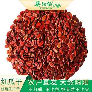红瓜子生的大颗粒生瓜子新货产地直发饱满精品生原味红瓜籽西瓜子