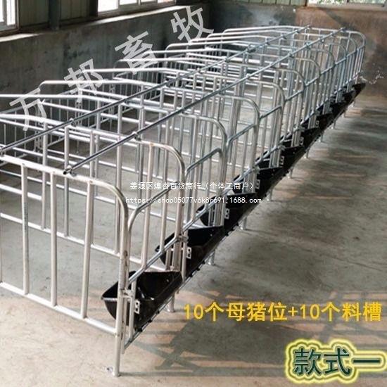 母猪定位栏限位栏加厚国标母猪产床仔猪保育床养猪设备包邮默认项