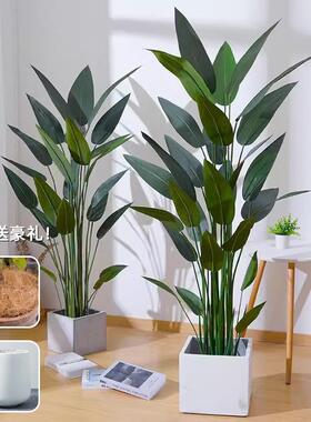 北欧天堂鸟仿真植物盆栽室内客厅落地装饰绿植鹤望兰美人蕉仿真树
