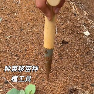种菜播种打洞器神器移苗打孔器园艺移栽工具种苗专用家用农业施肥