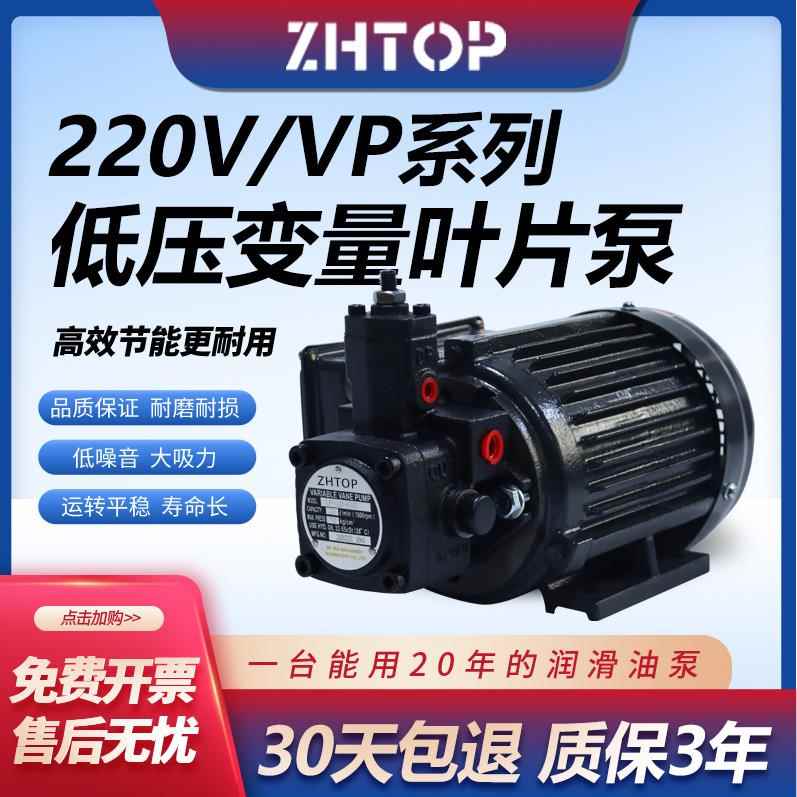 液压变量叶片泵VP-20-FA3/VP-30/40-FA3高压油泵泵头220V油泵电机