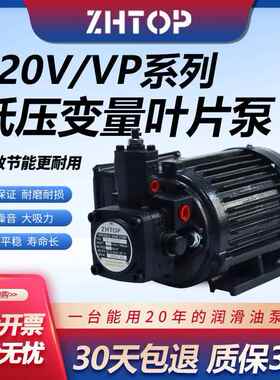 液压变量叶片泵VP-20-FA3VP-3040-FA3高压油泵泵头220V油泵电机