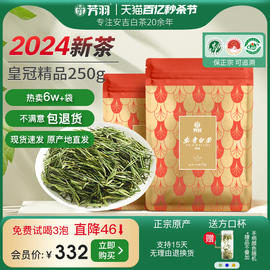 2024年新茶上市芳羽安吉白茶，明前特级散装250g正宗春茶绿茶叶